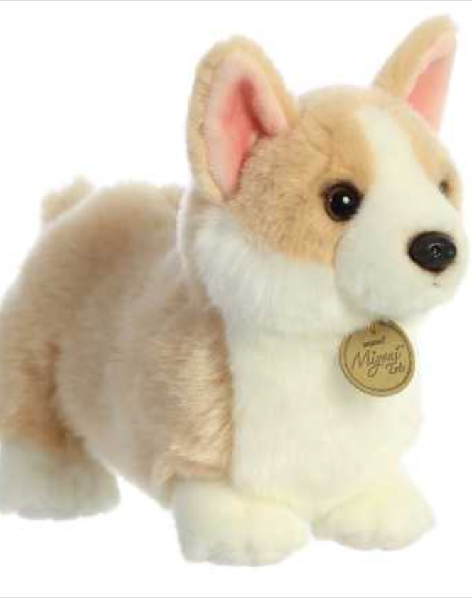 Miyoni Pembroke Welsh Corgi