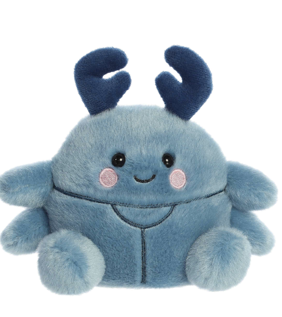 Palm Pals - Agatha Beetle