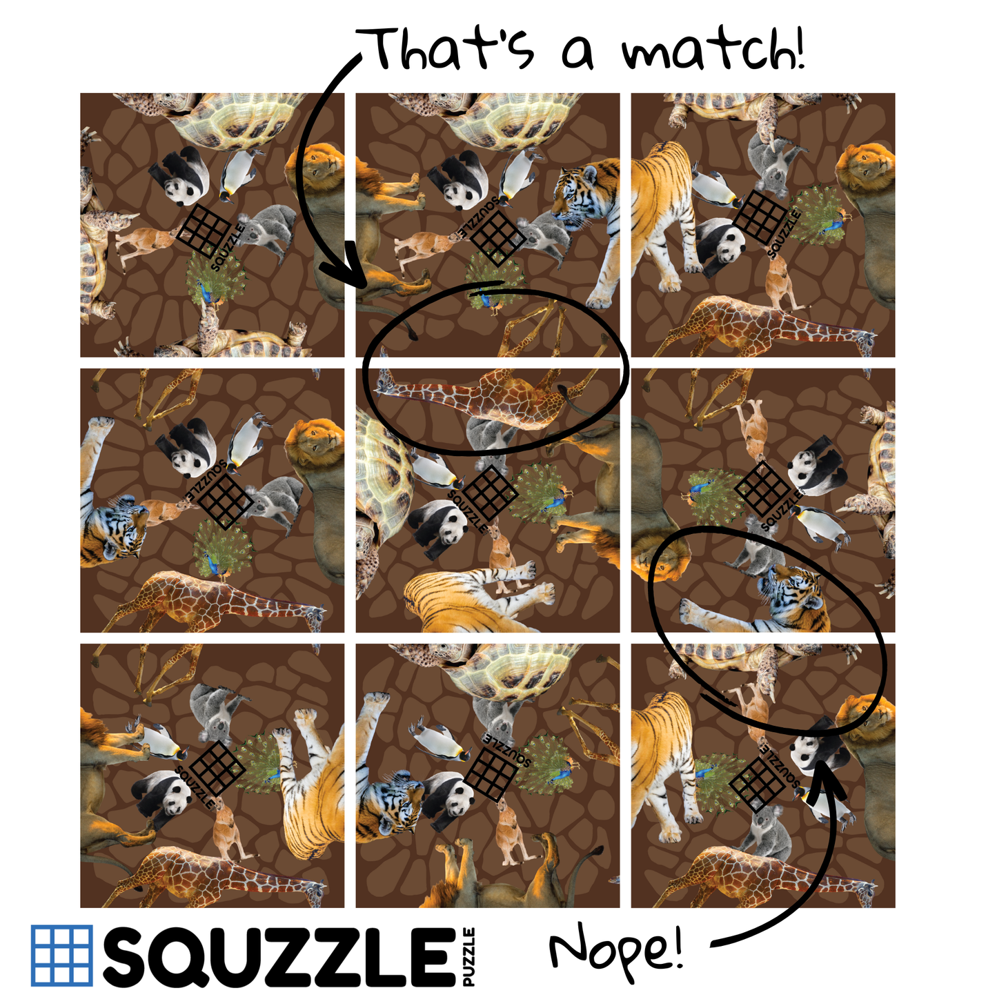 Zoo Squzzle Puzzle