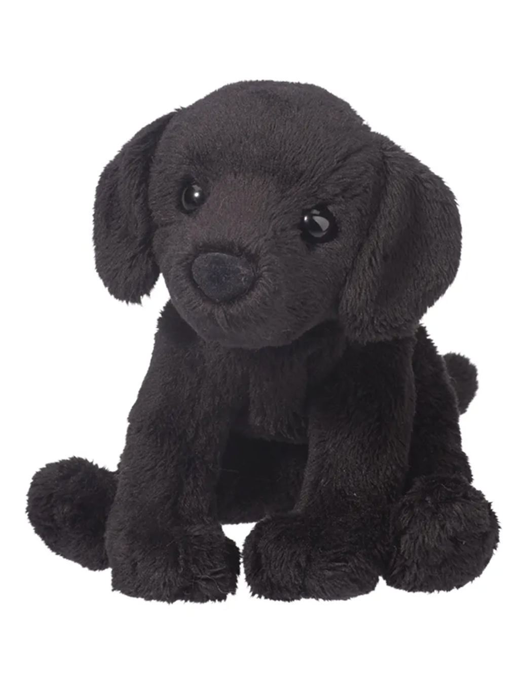 Lucy Black Lab