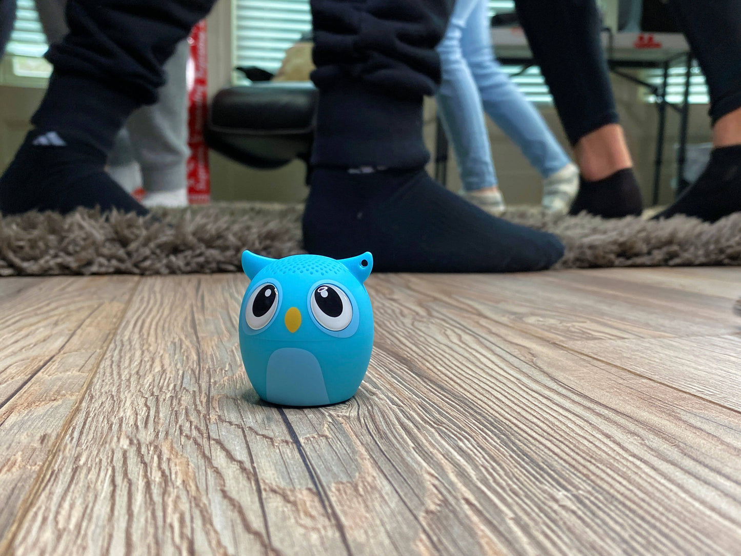 My Audio Pet - Blue Owl