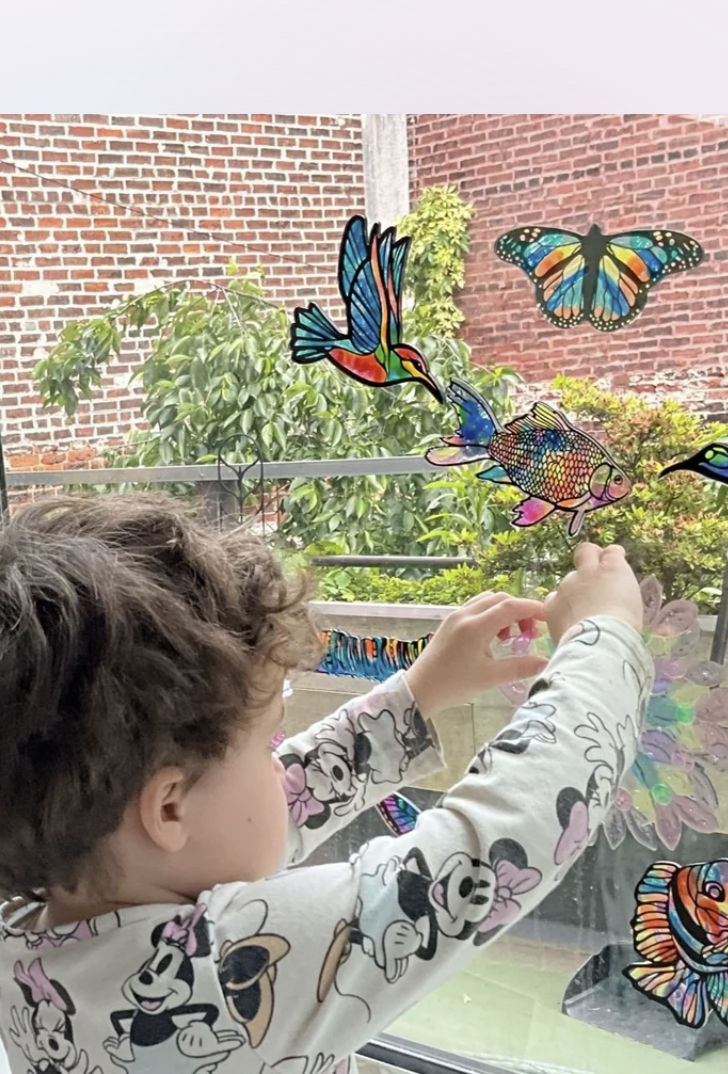 JoyJems Butterfly Paradise Sun Catcher Art Kit