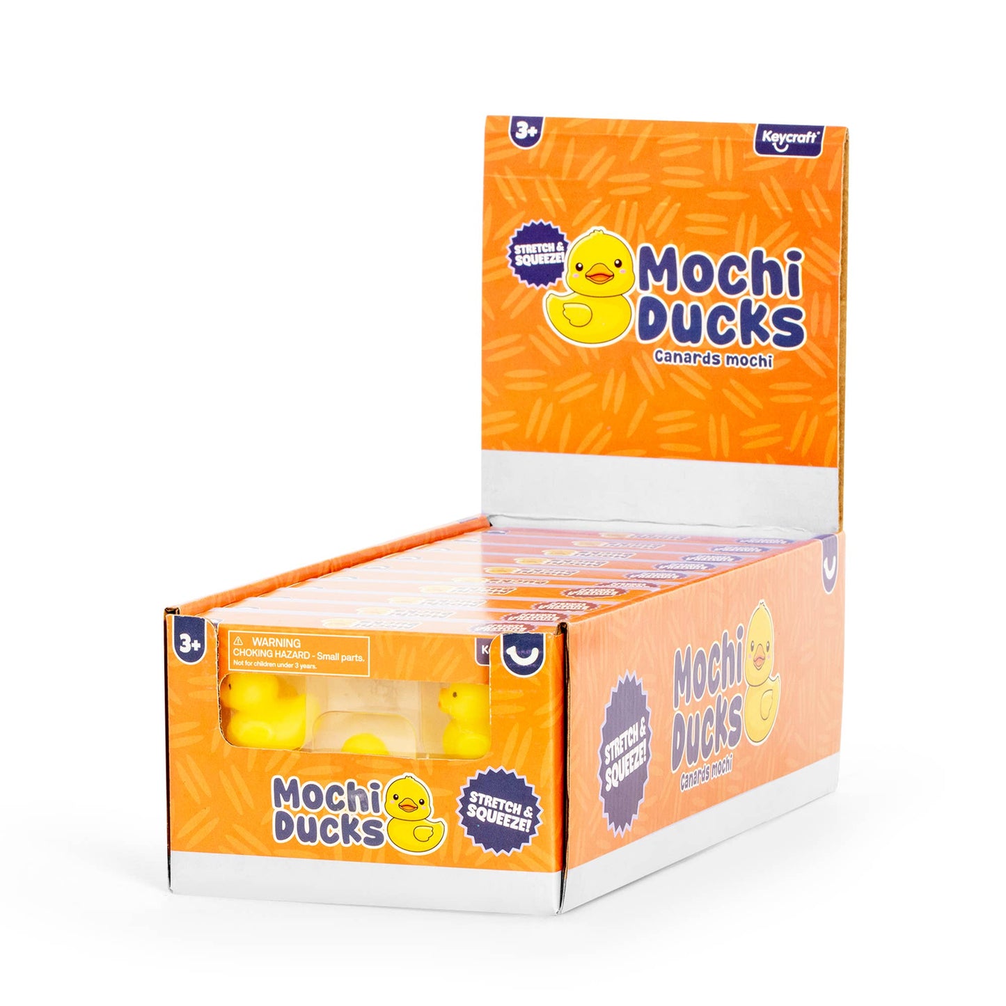 Squishy Mochi Ducks in box
