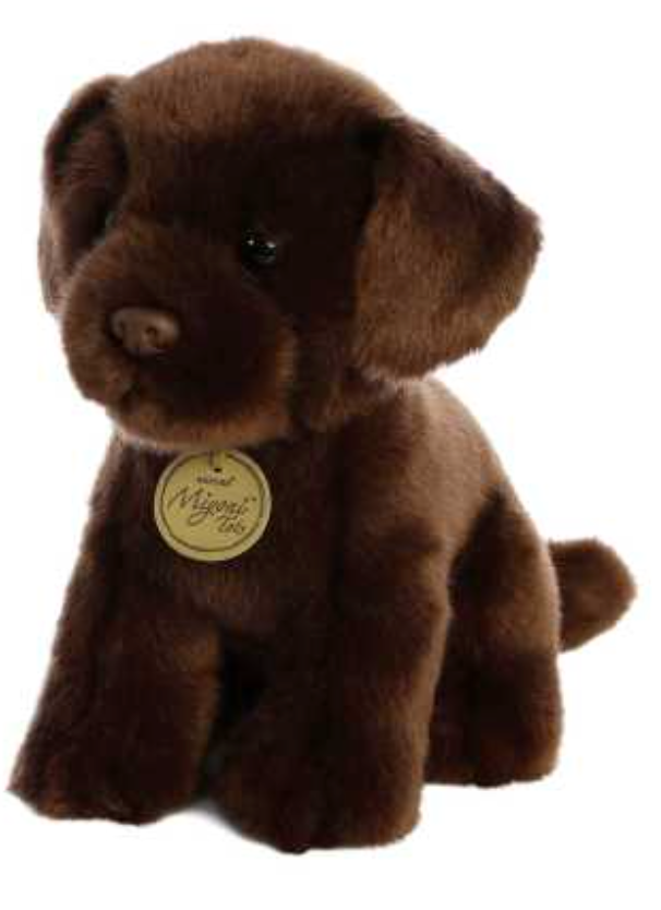 Miyoni Chocolate Lab