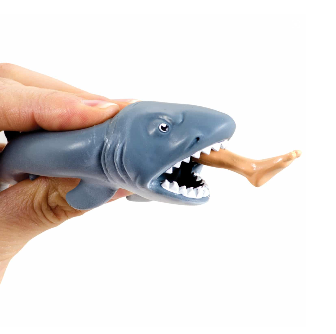 Chomp the Shark