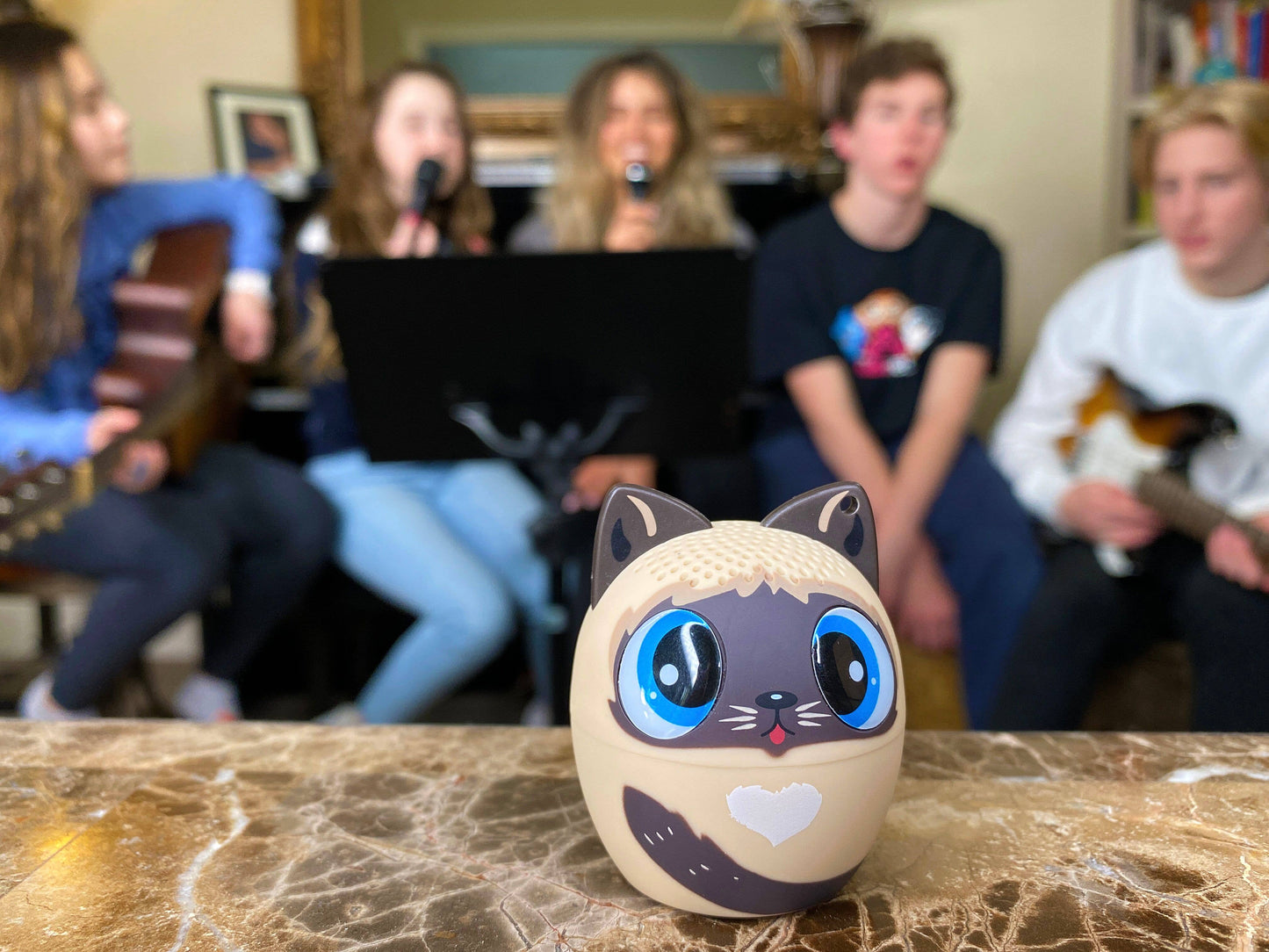 My Audio Pet - Cat2