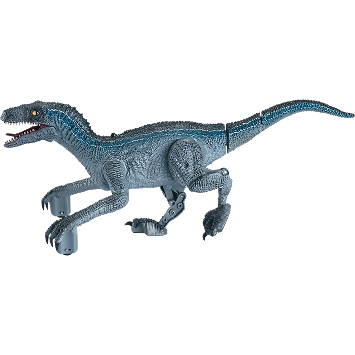 Rapid Raptor