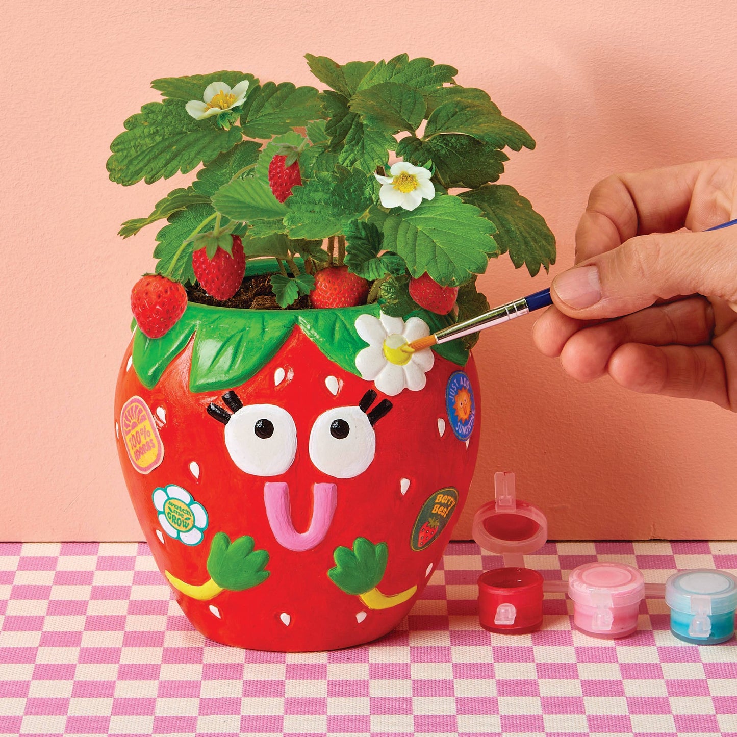 Paint & Grow- Strawberry