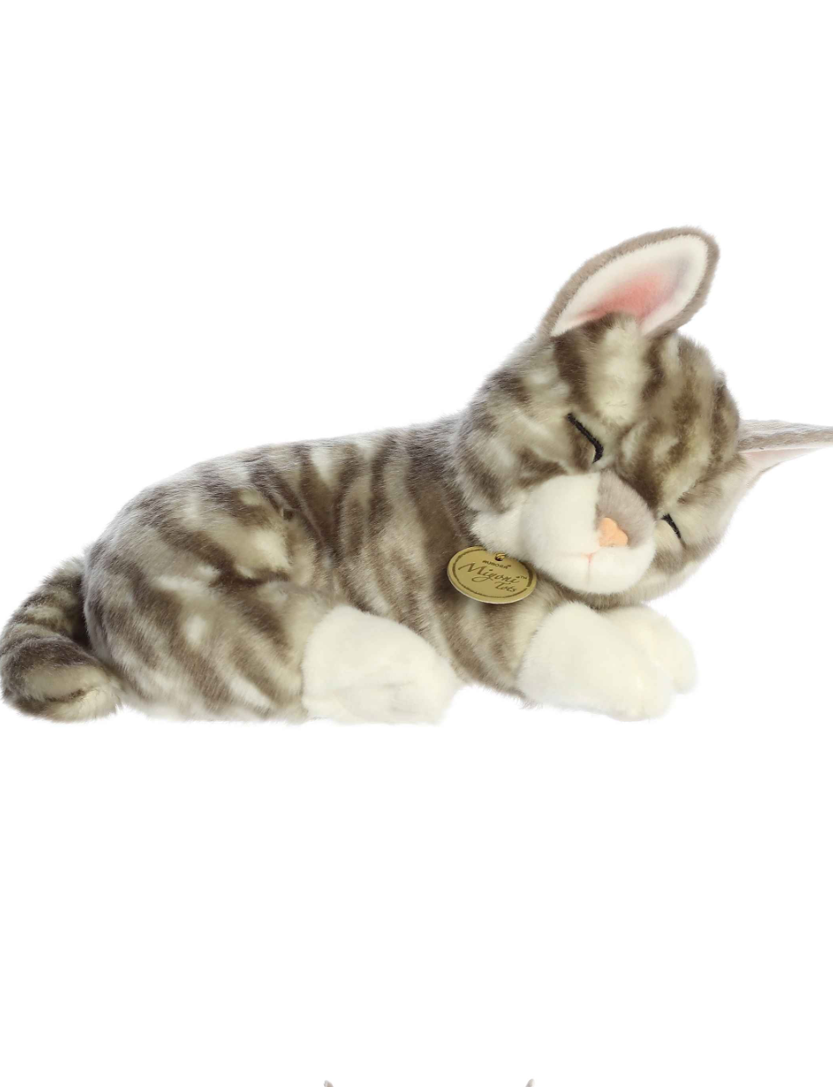 Miyoni - Sleepy Gray Tabby Kitten