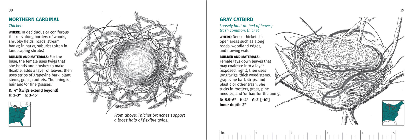Bird Nest Finder