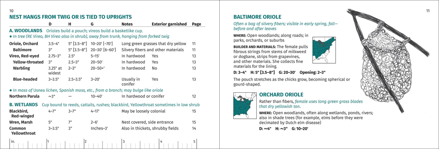 Bird Nest Finder