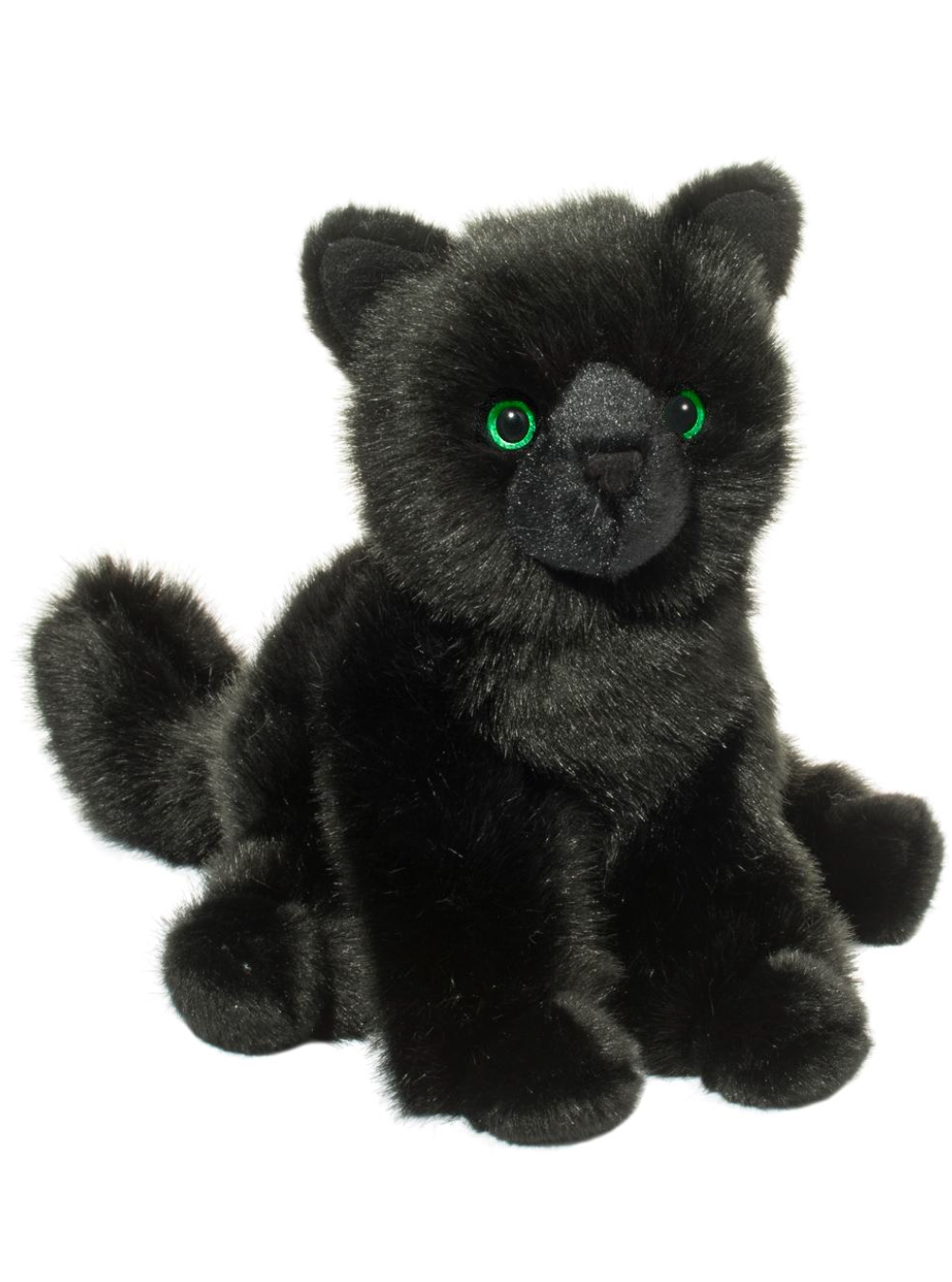 Salem Black Cat