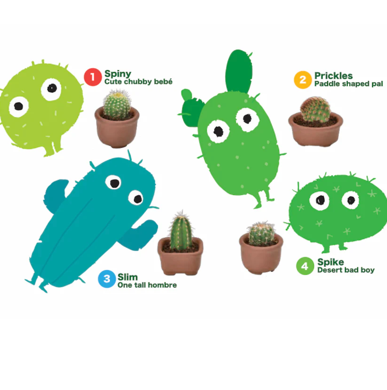 Cacti Cuties Capsule