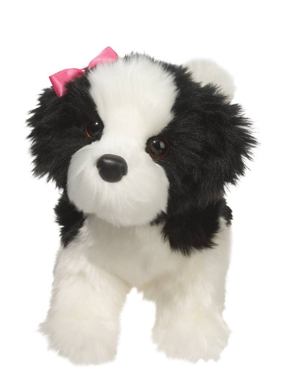 Poofy Black & White Shih-Tzu
