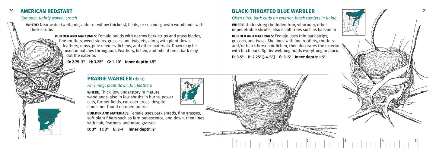 Bird Nest Finder