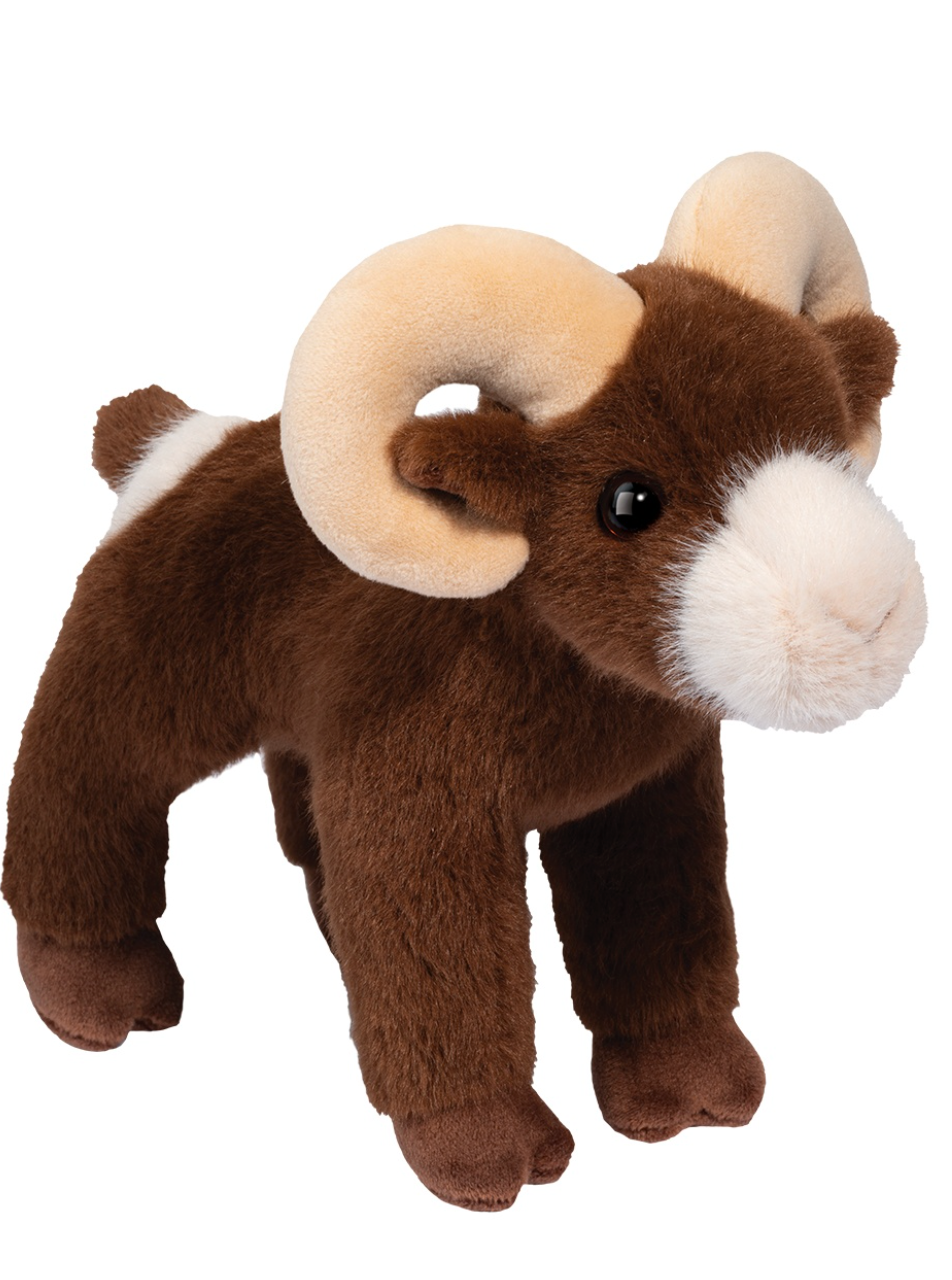 Burly Bighorn Sheep