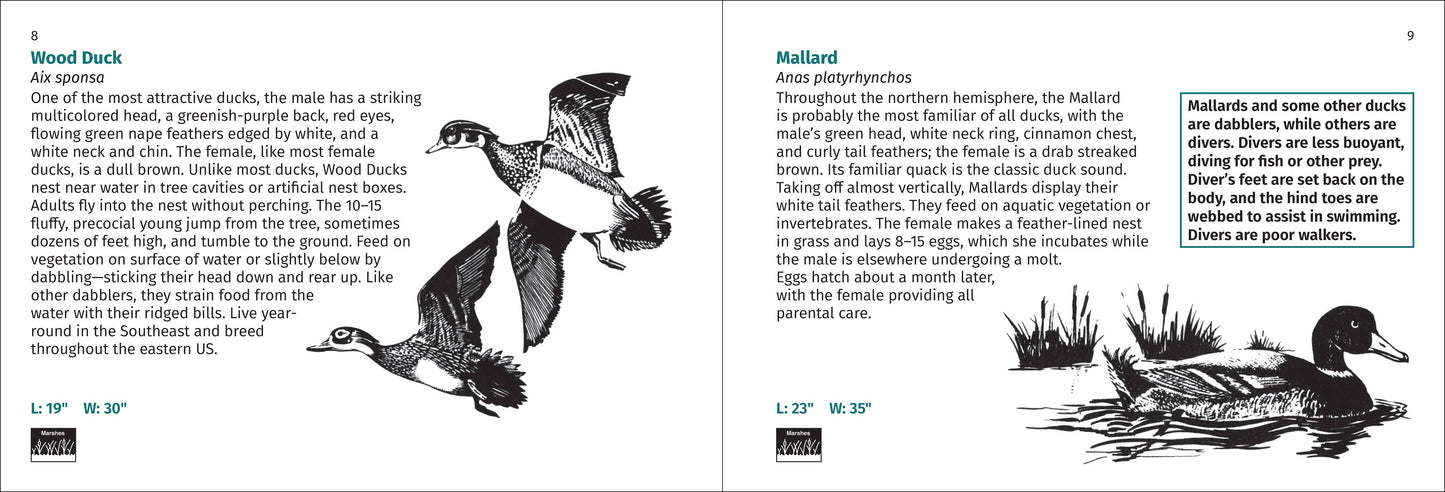 Bird Finder 2e