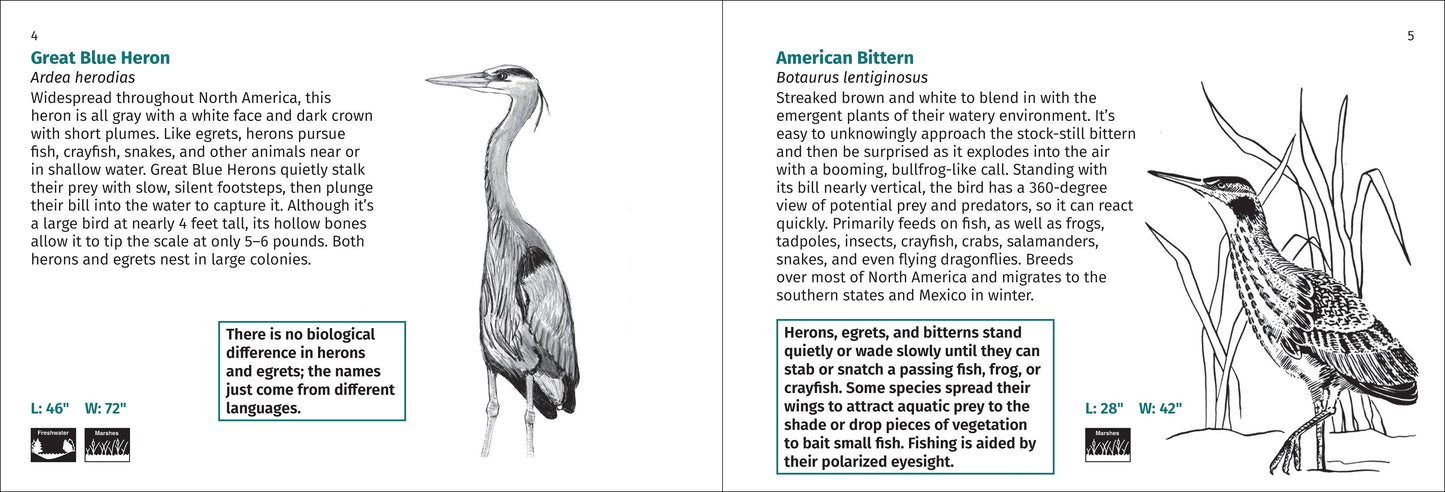 Bird Finder 2e