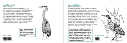 Bird Finder 2e