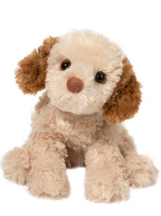Biscuit Cavapoo