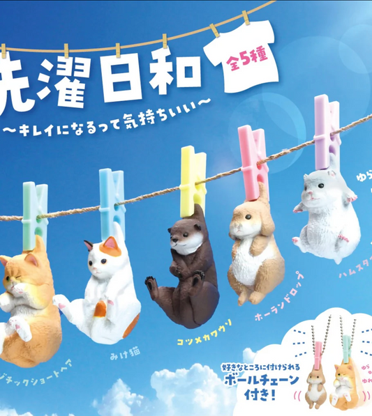 Air Dry Animals Blind Box