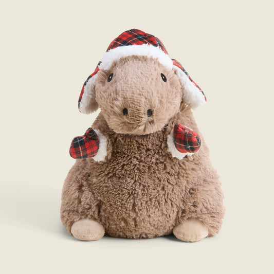 Cozy Capybara Warmies **PICKUP & LOCAL DELIVERY ONLY**