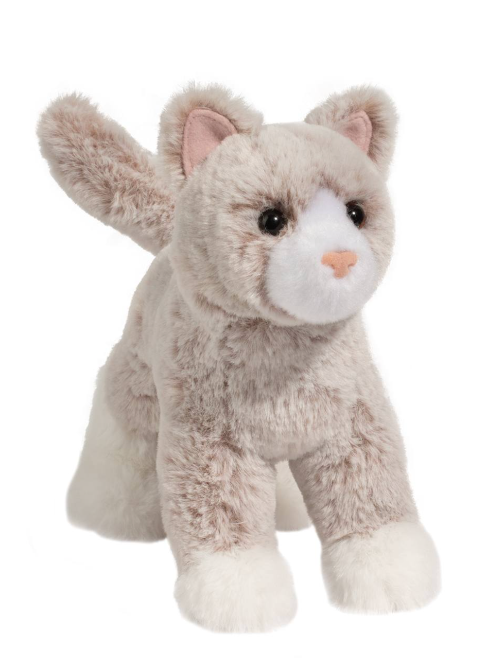 Abby Tan Cat