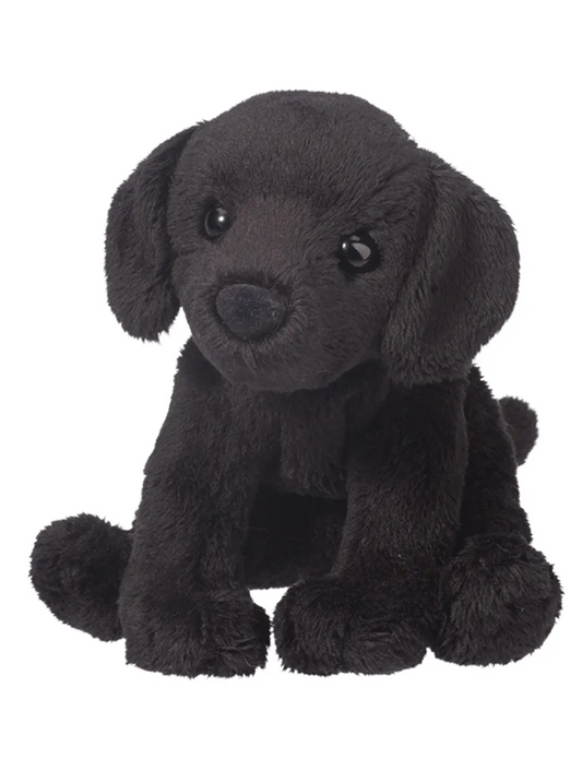 Lucy Black Lab
