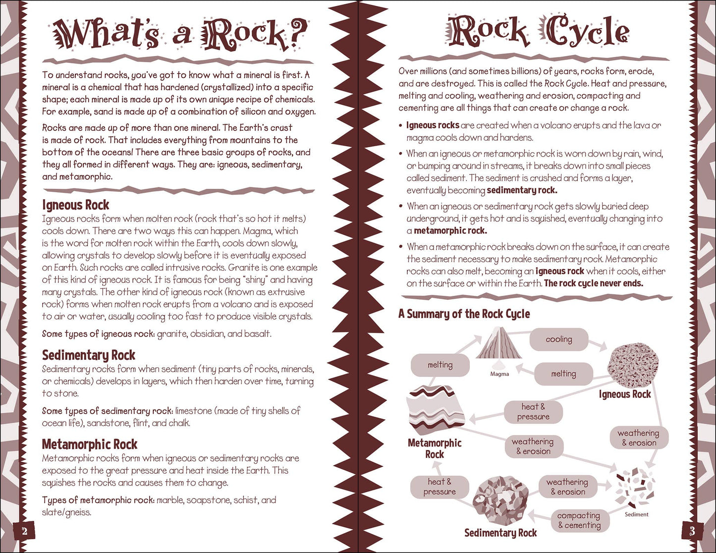 Rock Log Kids