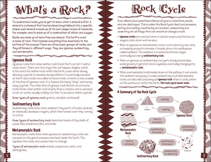 Rock Log Kids