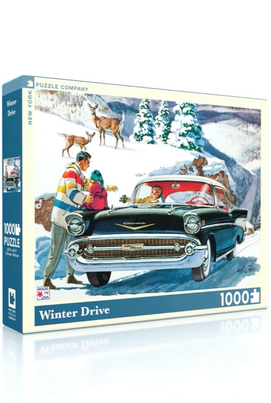 Winter Drive Puzzle