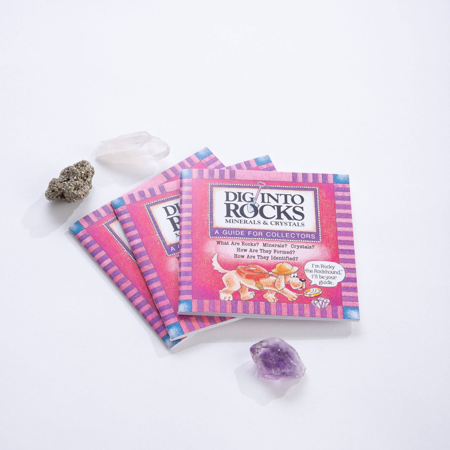 Dig Into Rocks Book
