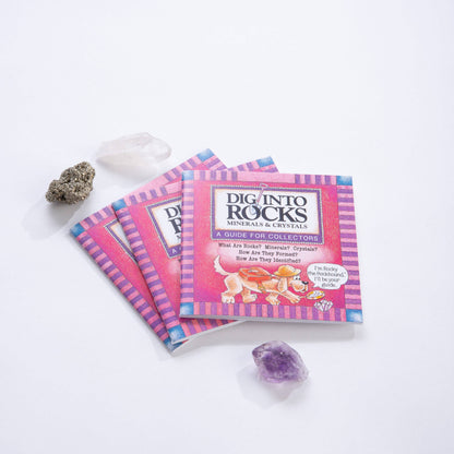 Dig Into Rocks Book