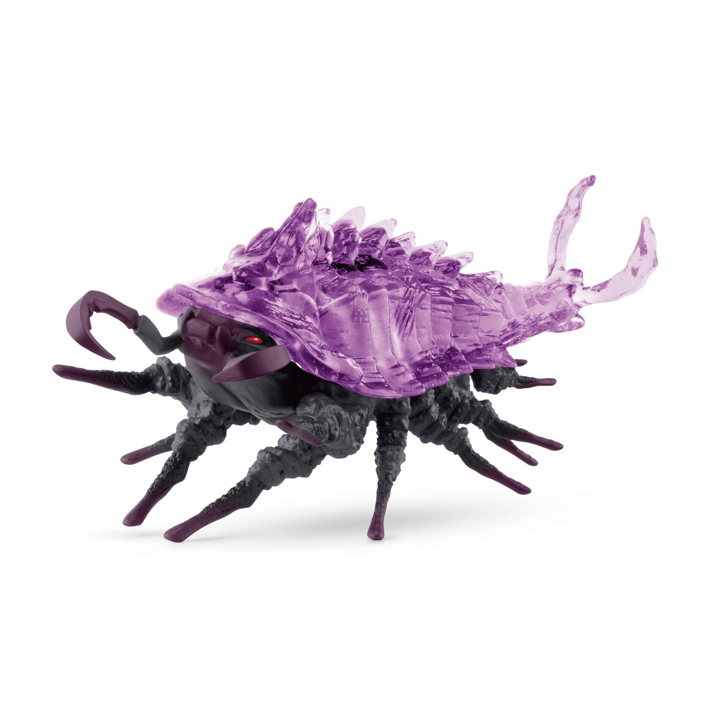 Cave of the Shadow Isopod