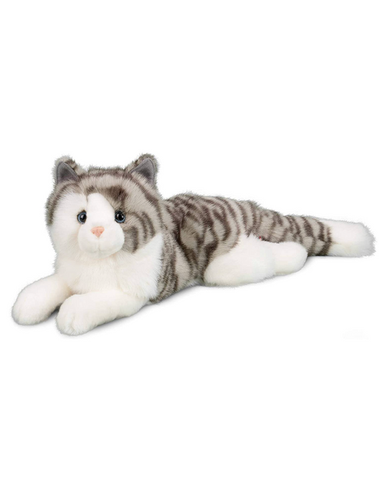 Smokey Gray Cat