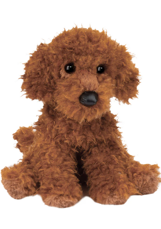 Ginger Miniature Poodle
