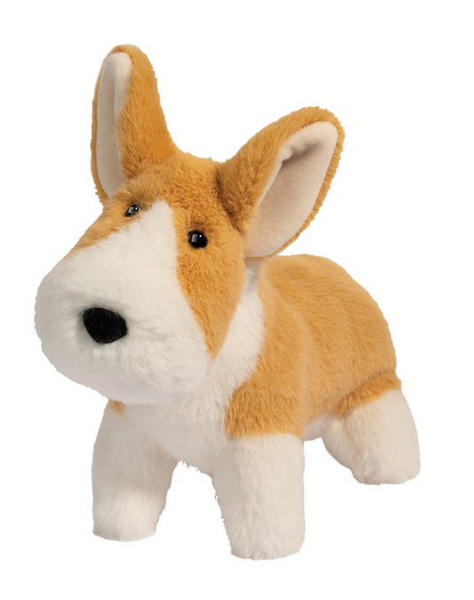 Carl Corgi Muzzle
