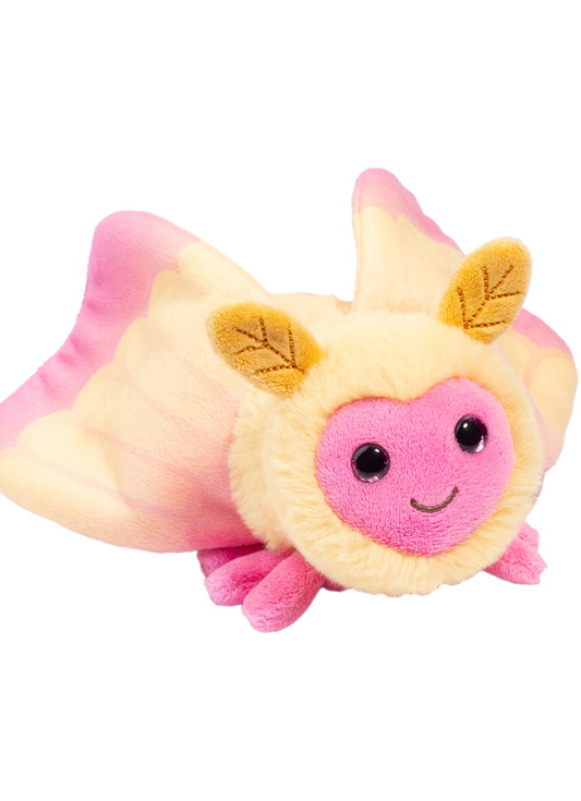 Rosie the Rosy Maple Moth