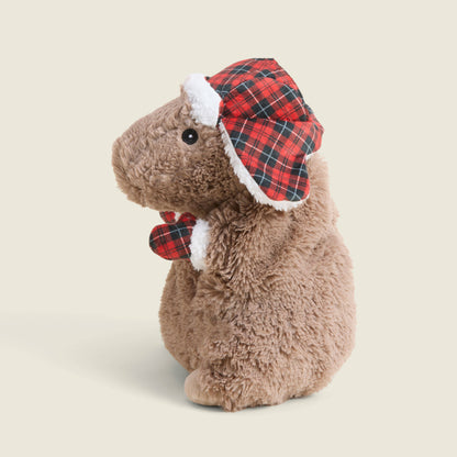 Cozy Capybara Warmies **PICKUP & LOCAL DELIVERY ONLY**