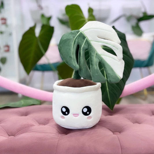 Blushiez Monstera Deliciosa Albo Variegata Plushie