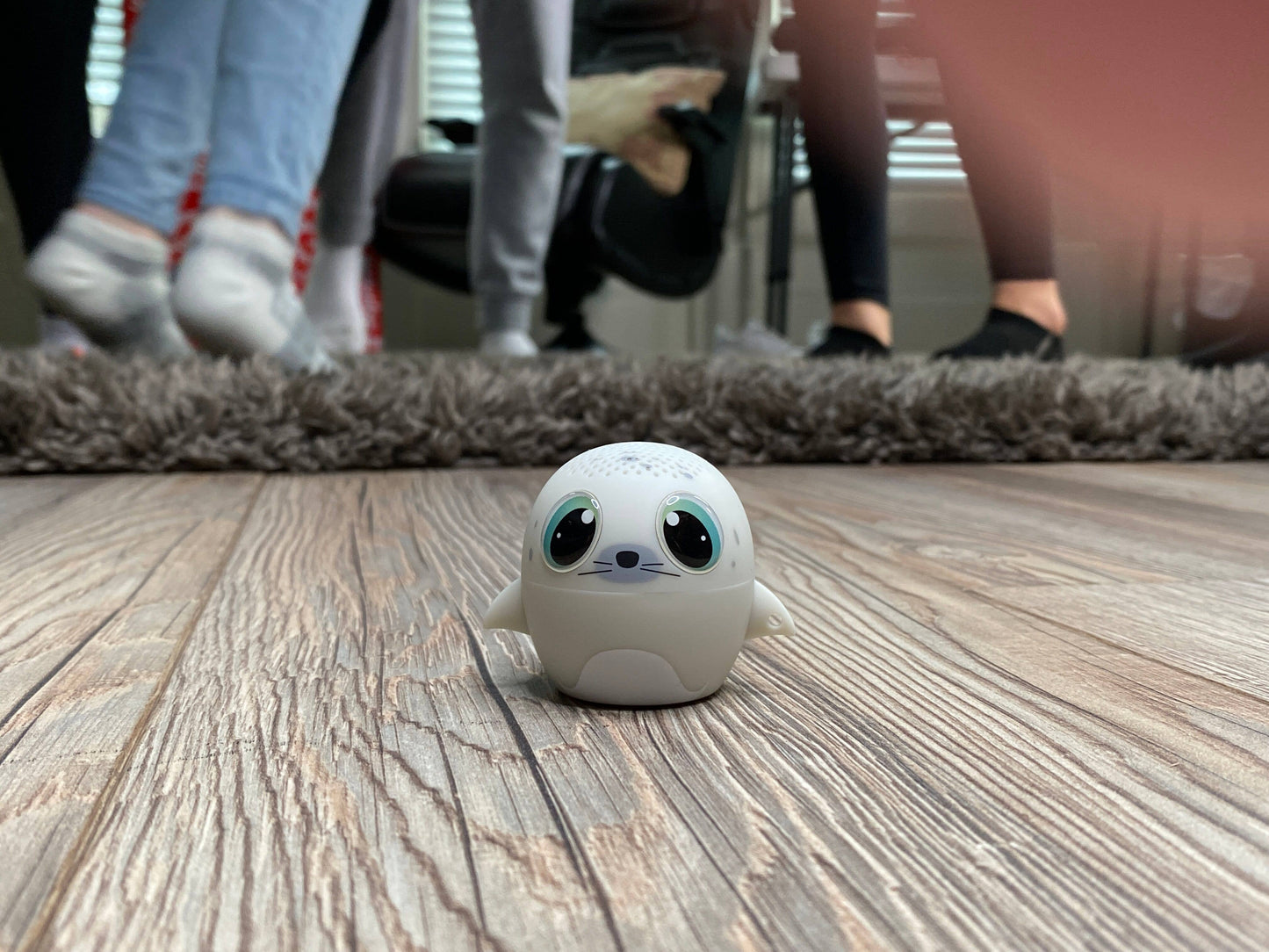 My Audio Pet - Seal
