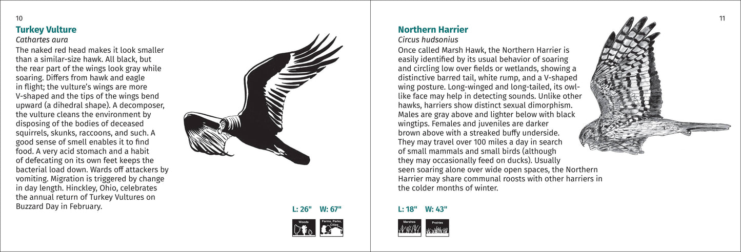 Bird Finder 2e