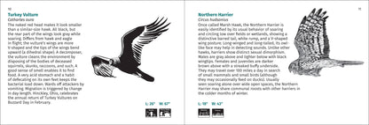 Bird Finder 2e