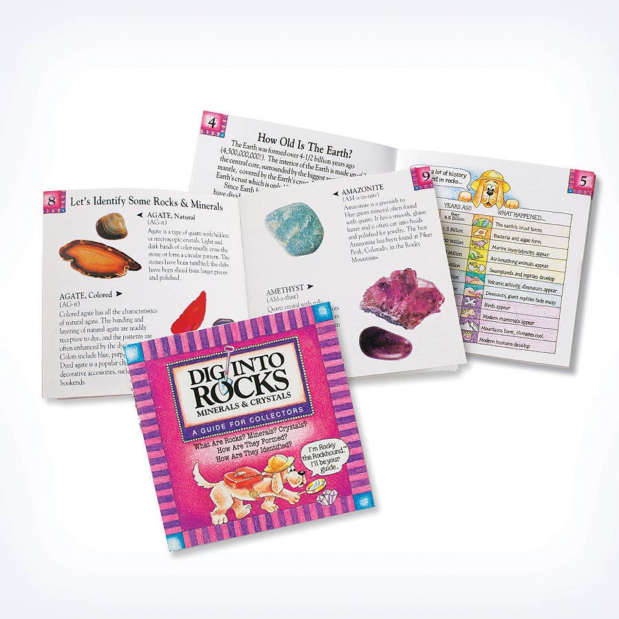 Dig Into Rocks Book