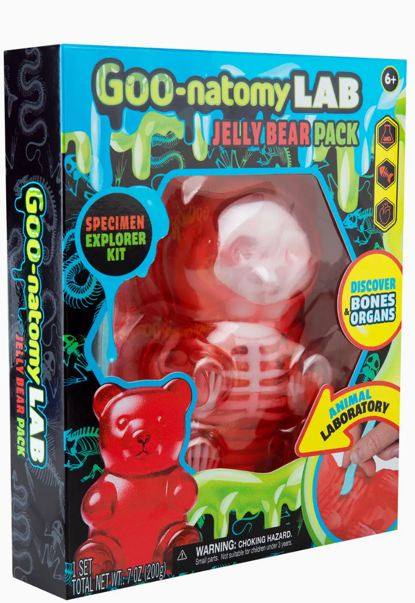 Goo-Natomy Lab Jelly Bear