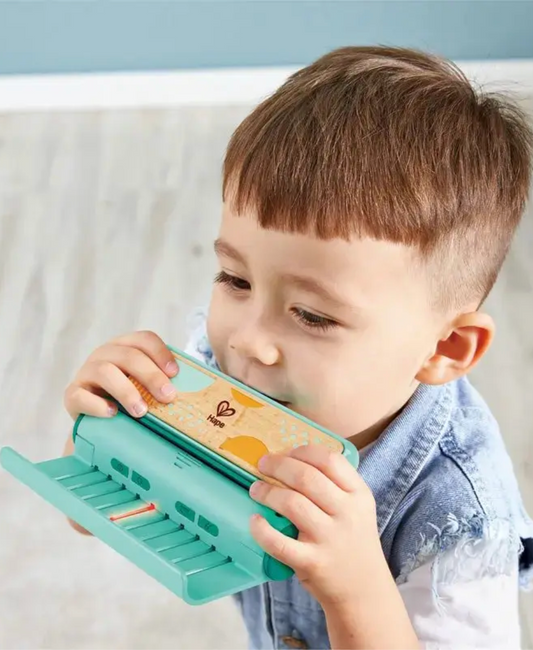 Hape Learn With Lights Harmonica Musical Toy With Guiding Lights