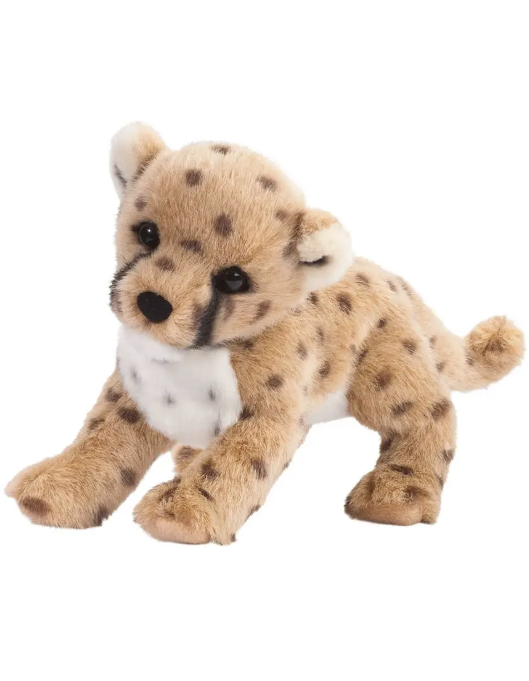 Chillin’ Cheetah Cub