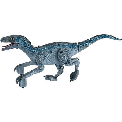 Rapid Raptor