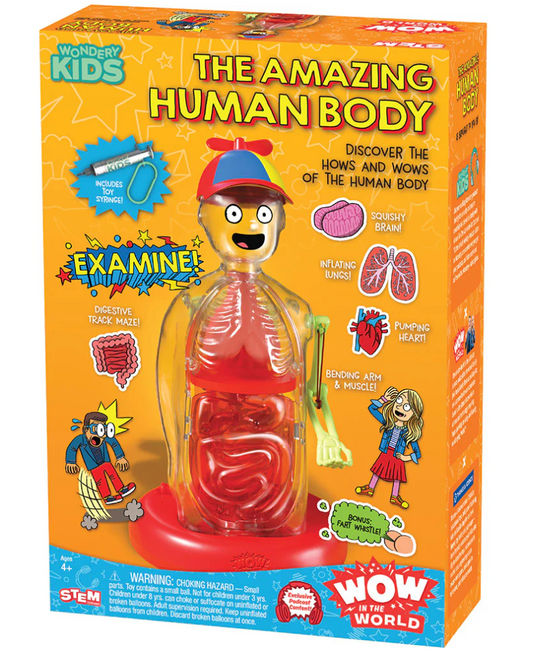 Wow in the World: The Amazing Human Body