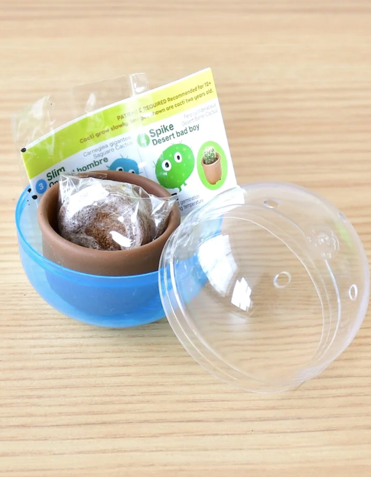 Cacti Cuties Capsule